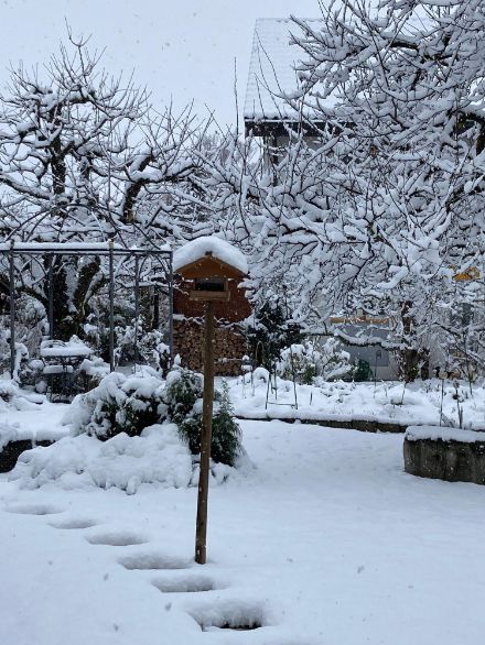 Für wenige Stunden war es im Flachland heute Donnerstag richtig winterlich, wie hier in Oberweningen. 