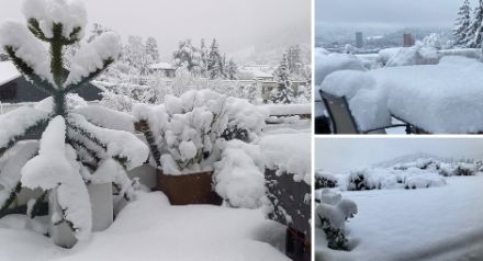 Verschiedene Bilder in bewohnten Gebieten des Flachlandes mit 20-30 cm frischem Neuschnee.