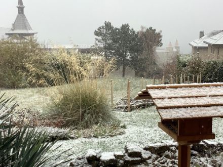 Schneefall in Grandson
