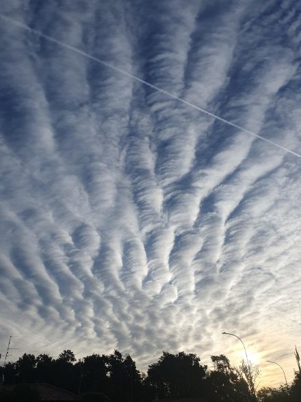 Das Foto aus Mozzate zeigt eine gerippte Wolkenstrukturen mit Wolken im Wellenberg und Wolkenauflösung auf dem Weg ins Wellental. 