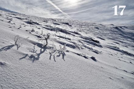Neuschnee und Glatteis im Louron-Tal (Hautes-Pyrénées). Foto: Élie Kirchner