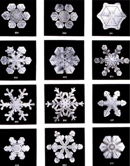 Beispiele von verschiedenen Schneekristallen (Dendriten)