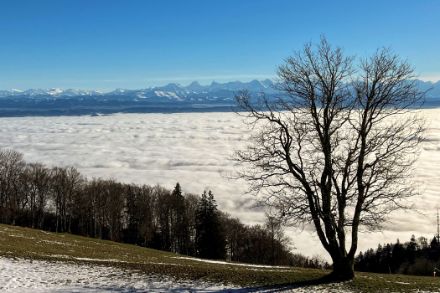 Hochnebeldecke über dem Mittelland