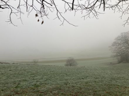 Gefrierender Nebel heute Morgen in Brügg, BE bei Biel. 