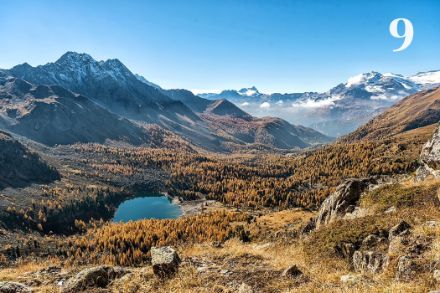 Val da Camp mit den gelben Lärchen und dem Lagh da Val Viola.