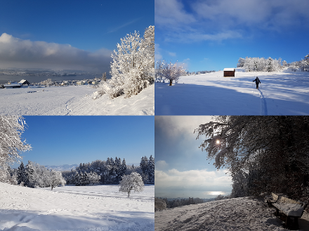 Am 3. Dezember präsentierten sich die Mittellandhügel tiefverschneit. Hier ein paar Impressionen von einer Skitour auf dem Pfannenstiel. 