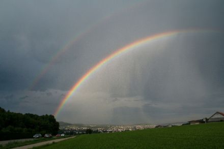 Regenbogen über dem Limmattal. 
