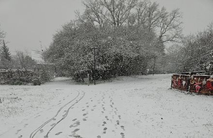 Ganz im Westen hat bereits am frühen Nachmittag mässiger Schneefall eingesetzt, wie die Meteomeldung aus Genf zeigt. 