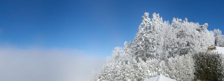 Die Roundshot Heiligenschwendi im Berner Oberland auf rund 1000 Metern lag genau an der Obergrenze des nebligen Kaltluftsees. 
