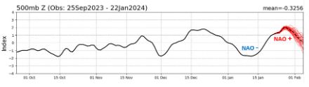 Abbildung 6: Die Grafik zeigt den beobachteten (schwarze Kurve) und die Vorhersage (rote Kurve) des NAO Index. Passend zur oben beschriebenen Wetterlage verzeichneten wir anfangs bis Mitte Januar ein negativen NAO Index. Aktuell beobachten wir einen positiven NAO Index. 