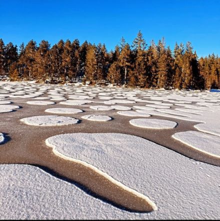 Etang de la Gruère, Franches Montagnes, 29. Dezember 2024