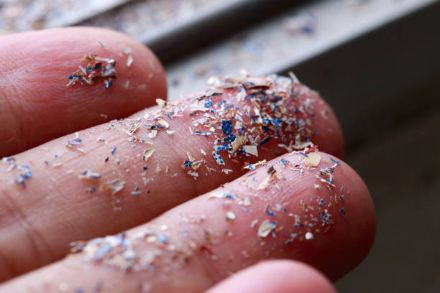 Plastikfaser in verschiedenen Formen und Grössen wie sie von Luftströmungen transportiert werden können.