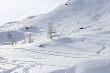 Trotz allem liegt in den hohen Lagen meist noch genügend Schnee: Einige Kollegen unternahmen heute eine Skitour und konnten nach dem Aufstieg zur Cristallinahütte die Abfahrt bei herrlichen Schneeverhältnissen geniessen. Bild: D. Gerstgrasser
