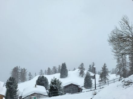 Schneefall auf der Riederalp auf etwa 1900 Metern. 
