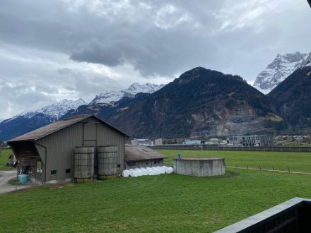 Heute war in Altdorf wieder einmal der Föhn zu Gast und sorgte neben den milden 17 Grad auch für eine klare Luft.