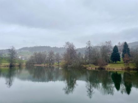 Noch nicht viel von der Subsidenz merkte man heute in den Niederungen der Alpennordseite wie hier in Hinwil (ZH). Die Subsidenz wirkte erst oberhalb von 2500 bis 3000 Metern.