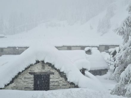 In Bosco Gurin (1504 m ü.M.) fiel der Schnee bis gestern Nachmittag aufgrund der Nähe zur Schneefallgrenze mit einem relativ hohen Flüssigkeitsanteil, wodurch die Schneedecke nur langsam an Mächtigkeit zunahm. Mit der Intensivierung des Schneefalls gestern Abend sank die Schneefallgrenze auf tiefere Lagen ab und der Flüssigkeitsanteil im Schnee nahm ab. Dadurch konnte die Schneedecke heute schneller wachsen.