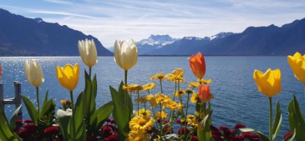 Ob sich an Ostern 2024 so sonniges Frühlingswetter wie heute am Genfersee bei Montreux einstellt, ist zumindest auf der Alpennordseite gut möglich.
