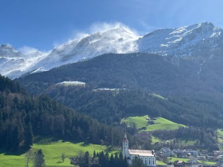 Unten schon saftig grün, oben noch alles schneebedeckt. Der heute bereits aufgekommene Föhn wirbelt den frischen Schnee der Vortage auf.