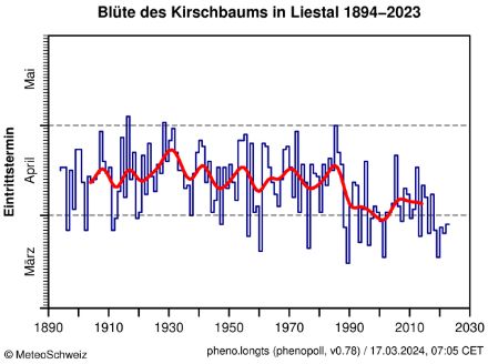 Blüte des Kirschbaums in Liestal-Weideli seit 1894. Die rote Linie zeigt das 20-jährige gewichtete Mittel. (Datenquelle: Landw. Zentrum Ebenrain, Sissach und MeteoSchweiz).