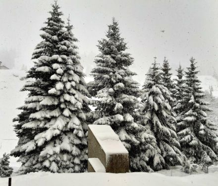 In San Bernardino ist der aktuelle Schneefall zwar weniger intensiv als im westlichen Tessin, jedoch ist die Gesamtschneehöhe in den letzten 24 Stunden um weitere 18 cm auf fast 120 cm angewachsen.