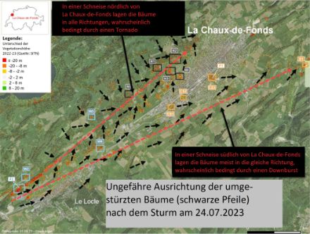 Abbildung 3: Ungefähre Richtung des Baumbruchs um die Stadt La Chaux-de-Fonds, die nach dem Gewitter beobachtet wurde (schwarze Pfeile). Rot gestrichelt ist die ungefähre Zugbahn des Gewitters, welches die Schäden verursacht hat. Dabei zeigen südlich der Stadt die umgestürzten Bäume meist in die gleiche Richtung, was auf einen Downburst schliessen lässt. Nördlich der Stadt zeigen die umgestürzten Bäume dagegen in verschiedene Richtungen, was auf einen Tornado hindeutet.