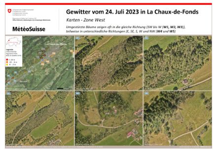 Abbildung 4: Beobachtete Schäden westlich von La Chaux-de-Fonds. In der Karte oben links sind die Kartenausschnitte W1 bis W5 mit hellblauen Rechtecken markiert.
