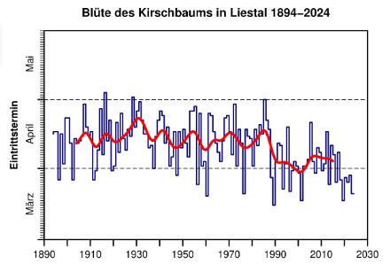 Abbildung 2: Beginn der Kirschblüte in Liestal (BL). Seit Ende der 1980-er Jahre ist ein klarer Trend zu immer früherer Blüte zu erkennen.