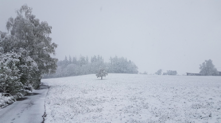 Bei Wädenswil ZH war es heute am Vormittag sehr winterlich. Im Gegensatz dazu konnte vor acht Tagen hier noch von sommerlicher Wärme gesprochen werden.