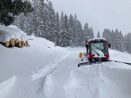 Verschneite Landschaft mit eingeschneitem Pistenbully und Holzhaufen .