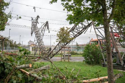 Abbildung 1: Foto der Schäden im Quartier Les Forges am Tag nach dem Gewitter: ein umgeknickter Strommast und umgestürzte Bäume. Foto: Lionel Peyraud 