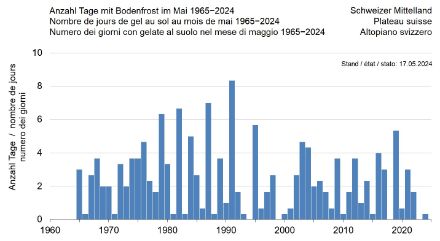 Grafik zur Anzahl Tage mit Bodenfrost im Mai (1965-2024) im Mittelland der Schweiz (basierend auf 5cm Temperaturmessungen von Genève-Cointrin, Payerne, Zürich-Kloten).