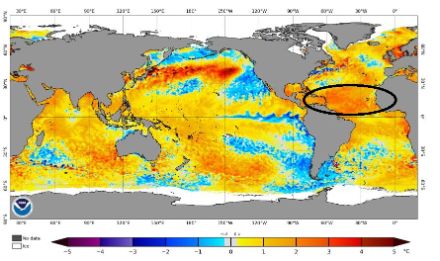 Zurzeit sind die Wassertemperaturen in den Entstehungsbereichen der atlantischen Hurrikans bereits aussergewöhnlich hoch, was für eine aktive Saison spricht. Meist können solche Beobachtungen auch mit Erfahrungswerten verglichen werden, indem Jahre mit ähnliche Ausgangsbedingungen herangezogen werden.  Aktuell sind die Temperaturanomalien jedoch so hoch, dass nicht genügend vergleichbare Fälle vorliegen