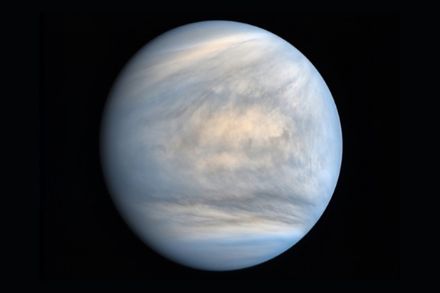 Abbildung 4: Aufnahme der Venus von der japanischen Sonde Akatsuki. Gut zu sehen ist die Komplexität der Wolken. Die ockerfarbenen Töne stellen Schwefeldioxid dar.