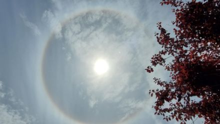 In Döttingen sowie gemäss unseren Meteomeldungen auf der App an vielen weiteren Orten konnte heute ein 22°-Ring um die Sonne beobachtet werden. 