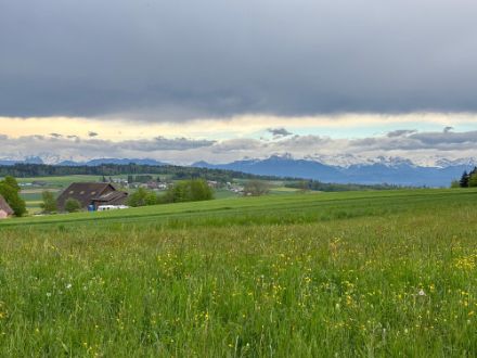 Quell- und Föhnbewölkung über Bergdietikon am 01.05.2024.