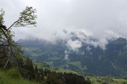 Auf der Sternenegg im Kanton Schwyz präsentierte sich heute am Vormittag das Wetter - wie am übrigen zentralen und östlichen Alpennordhang - noch meist trüb und wolkenverhangen.