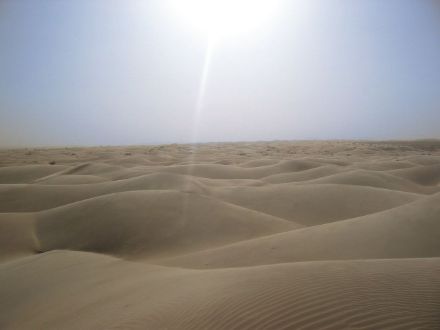 Die Wüste Sahara (Bildquelle: Wikipedia) besteht aus Sand, Stein und Fels. Durch die Trockenheit und die im Vergleich zum Wasser schlechte Wärmeleitfähigkeit heizt die Oberfläche im Sommer tagsüber sehr stark auf, so dass Oberflächentemperaturen von über 60 Grad vorkommen können. Es versteht sich von selbst, dass infolgedessen die Luftmasse über der Wüste Sahara ganz andere Eigenschaften aufweisen muss als über dem Atlantik. So sind Lufttemperaturen von gegen 50 Grad in der Wüste Sahara tagsüber  keine Seltenheit.
