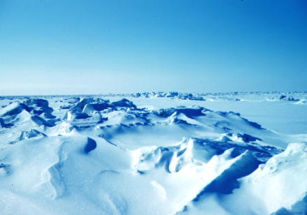 Die Arktis ist vielerorts ganzjährig mit Eis bedeckt. Eis kann maximal eine Temperatur von 0 Grad aufweisen. Wenn eine Luftmasse aus diesen Gebieten zur Schweiz vordringt, ist sie naturgemäss kalt, auch wenn sie auf dem weiten Wege zur Schweiz spürbar erwärmt wird.