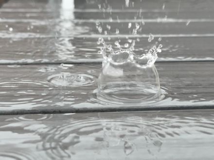 Wer genau hinschaut, findet auch Regenwetter schön. Für alle jedoch, die diese Art von Schönheit langsam satthaben, gibt es gute Neuigkeiten.