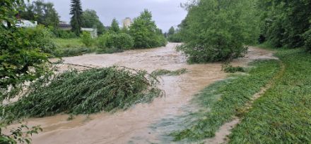 Entspannung in Sicht an den Fliessgewässern. An den grossen Flüssen geht das Wasser langsam zurück. Die Pegel von einzelnen Bächen und kleineren Flüssen können in den nächsten Tagen bei kräftigen Schauern oder Gewittern jedoch nochmals kurzzeitig ansteigen. Im Bild die Töss bei Winterthur. 