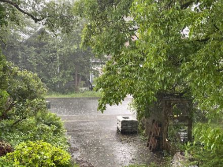 intensiver Regen