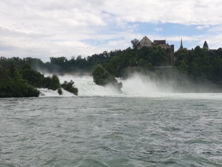 Der Rheinfall bei Hochwasser.