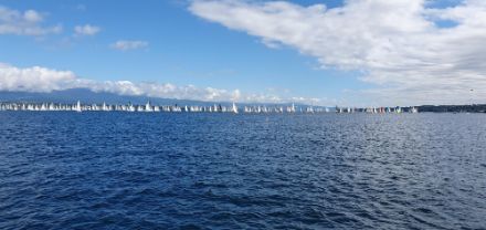 Auf dem Genfersee startete heute der «Bol d’Or Mirabaud», eine der wichtigsten Segelregatten Europas. Die Segler hatten meist mässigen Südwestwind. 