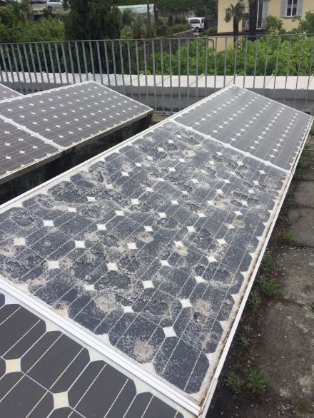 Ein Solarmodul wurde am 25.8.2023 in Locarno-Monti arg in Mitleidenschaft gezogen.  