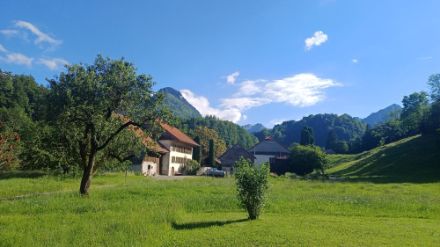 Sattes Grün, auch ein Hinweis auf ein feuchtes Klima.  