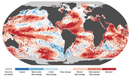 Weltkarte zur Verteilung der Meeresoberflächentemperatur im Juni 2024.