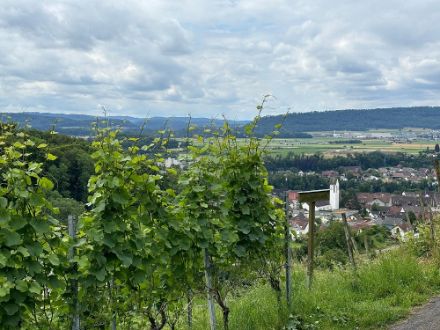 In Birmenstorf (AG) war es heute - wie vielerorts nördlich der Alpen - mehrheitlich bewölkt. Durch die recht klare Luft war es aber trotzdem recht freundlich.