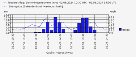 Niederschlag in mm (10min-Summen) und Windspitzen in km/h an der Station Hallau während des Gewitters.