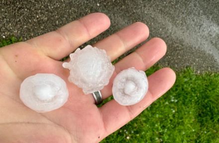 In La Brévine im Jura erreichte der Hagel rund 5 cm, was grösser war als was in den meisten anderen Hagelzügen beobachtet wurde. 